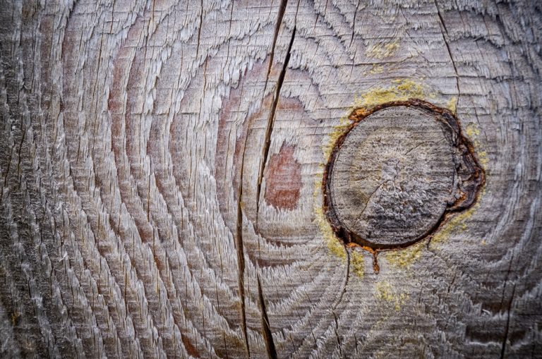 Tartak – Źródło Doskonałego Drewna: Buduj Z Zapałem i Trwałością.
